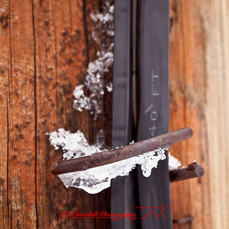 assorted_images-2012-182