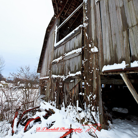 assorted_images-2012-164