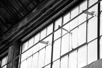 assorted-images-2006_012