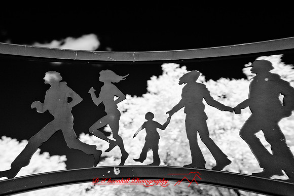 infrared-bay-city-2010-16