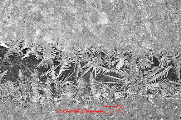 assorted_images-2011-182-nas