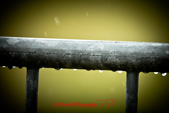 assorted_images-2012-139