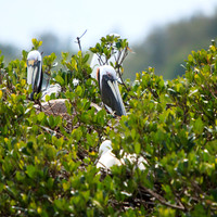 florida-2013-images-098