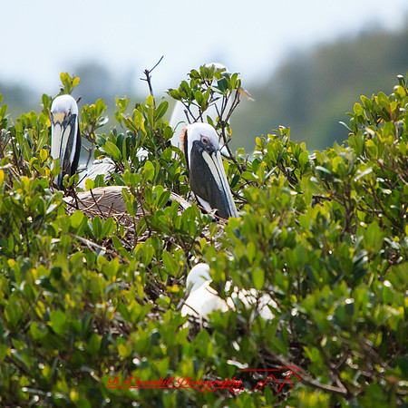 florida-2013-images-098