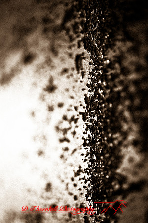 assorted_images-2011-213