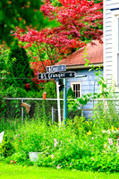 assorted_images-2007-02