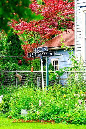 assorted_images-2007-02