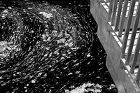 dow-gardens-infrared-2011-16-nas