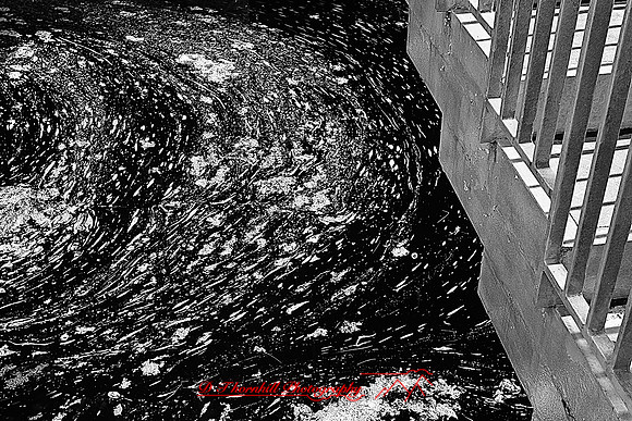 dow-gardens-infrared-2011-16-nas