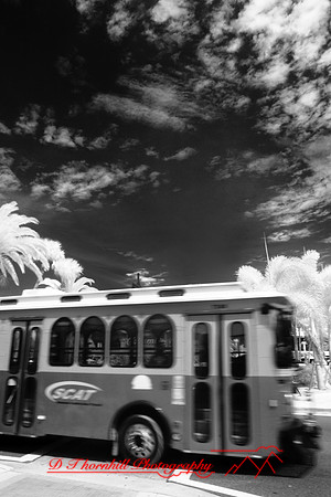 florida-2010-infrared-images_19-nik