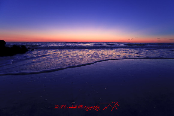 florida_images-2008_19.jpg