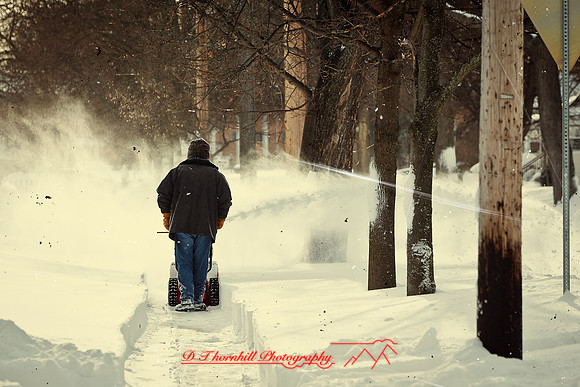 assorted_images-2012-029-nas