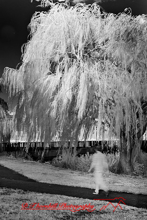 infrared-bay-city-2010-34-nik