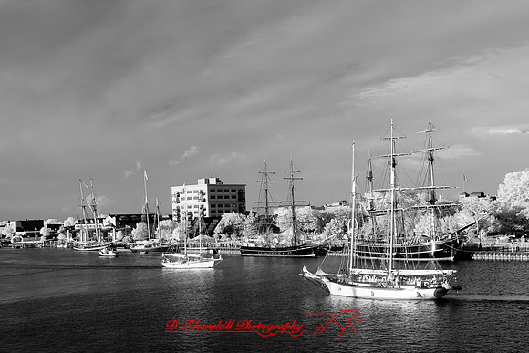 bay-city-tall-ships-2010-infared_38-nik