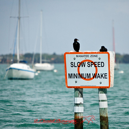 florida-2013-images071