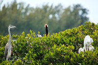 florida-2013-images-093