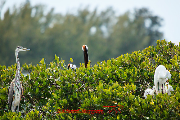 florida-2013-images-093