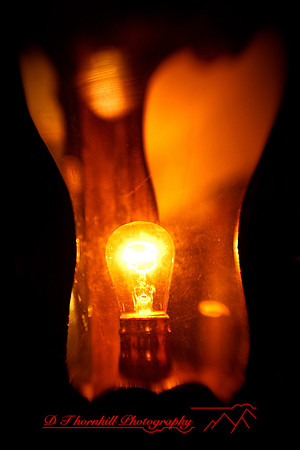 florida-2009-images_32.jpg