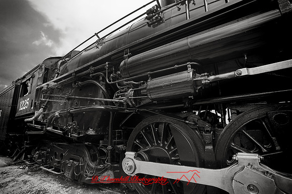 owosso_train-fest-2009_02-nik.jpg