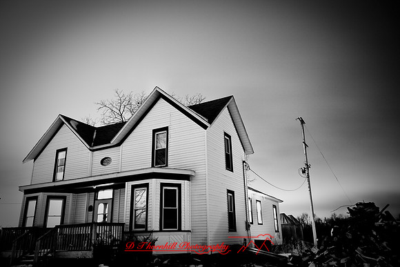 assorted_images-2008_19.jpg
