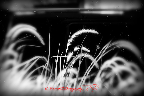 infrared-galesburg_il-2011-08-nas
