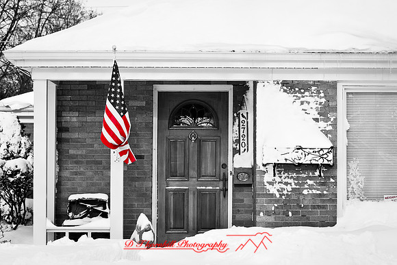 assorted_images-2012-034
