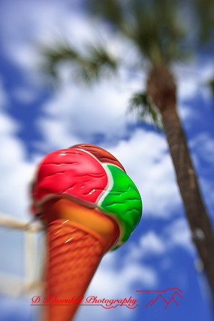 florida-2009-images_05.jpg