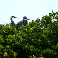 florida-2013-images-089