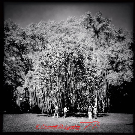 florida-2014-iphone-people-041-nas