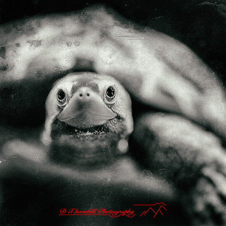 florida-nov-2014-sealife-002-nas