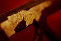 florida-images-2011-09