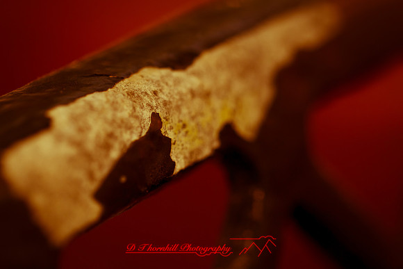 florida-images-2011-09