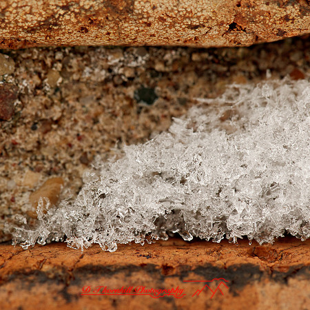 assorted_images-2012-184