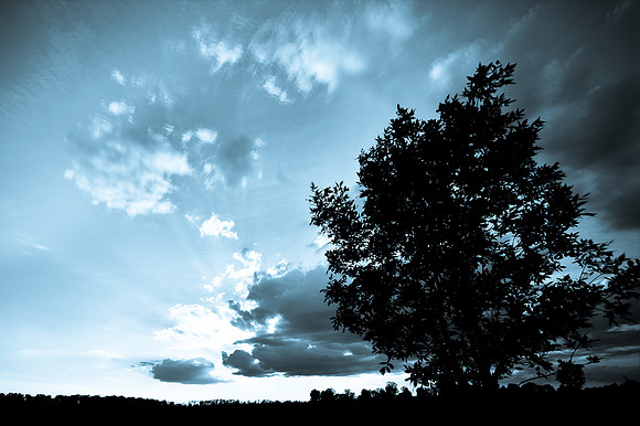 shiawassee-june-hdr-2008_01