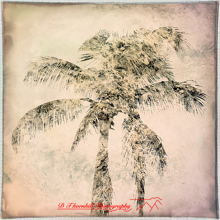 florida-march-2015-iphone-multi_exposure-003