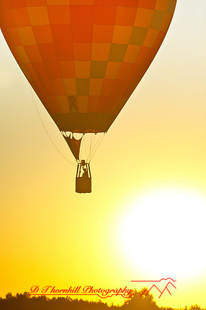 midland-balloon-2011-42