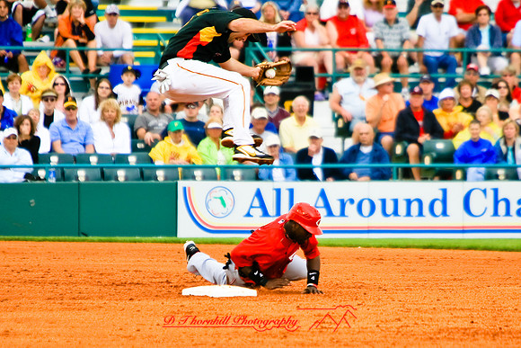 florida-2008-sports_14.jpg