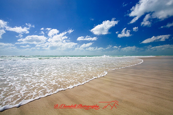 florida_images-2008_15.jpg