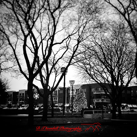 leica - christmas - 2022 - 006-nik-ps-ai
