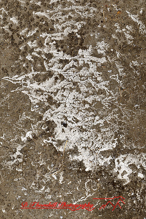 assorted_images-2011-183