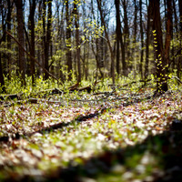 shaiawasses-april-2013-18