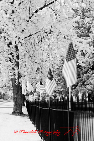 infrared-2008_050