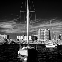 FL-March 2018-034_DxO