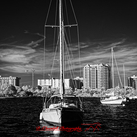 FL-March 2018-034_DxO