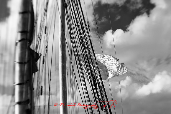 bay-city-tall-ships-2010-infared_24-nik