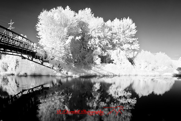 infrared-2008_107