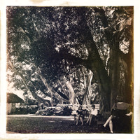 florida-2014-iphone-people-019