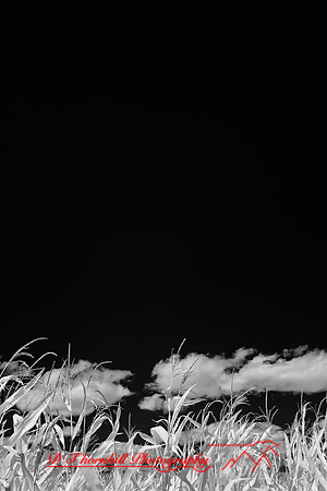 infrared-galesburg_il-2011-45
