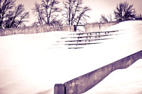 assorted_images-2012-045