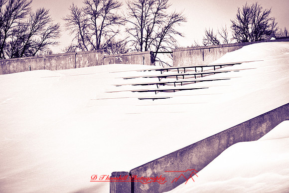 assorted_images-2012-045